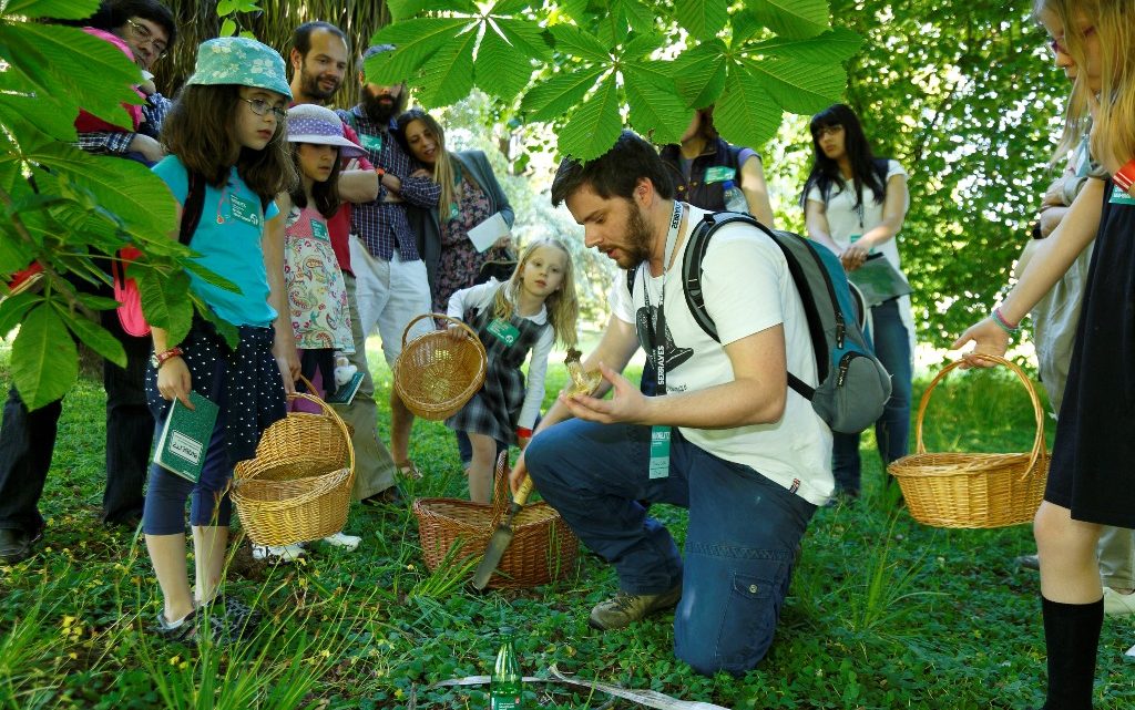 Parque de Serralves recebe mais uma edição do BioBlitz Parque de Serralves recebe mais uma edição do BioBlitz