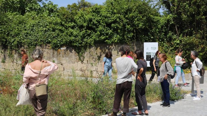 Maia protagonizou workshop Jardim Comunitário, “Utilizar Plantas Medicinais”.