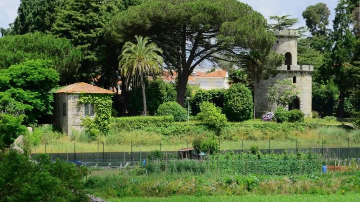 Associação de Futebol do Porto vai ter academia em Ramalde