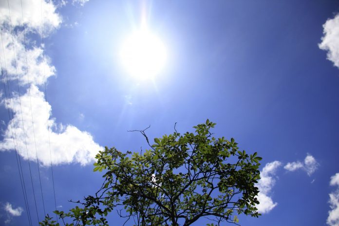Sol e calor vieram para ficar Sol e calor vieram para ficar