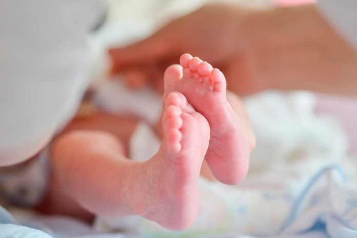Celebra-se hoje o Dia Mundial da Prematuridade