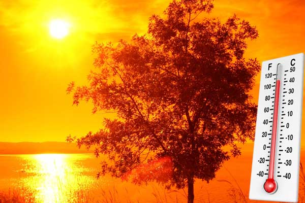 Mais de 50 concelhos em perigo máximo de incêndio esta sexta-feira