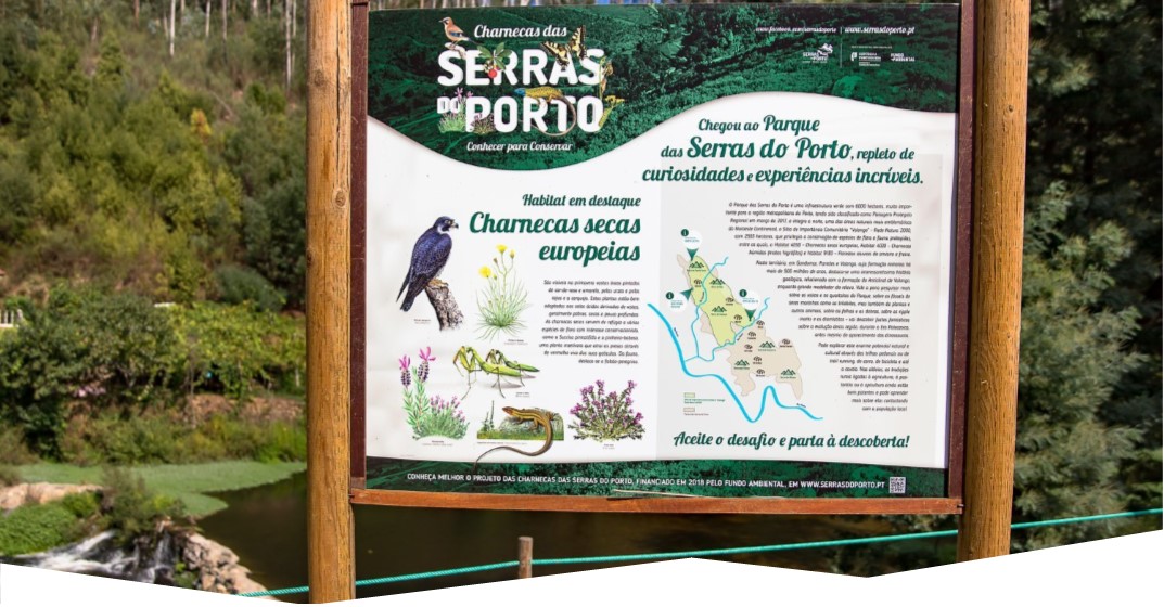 Parque das Serras do Porto terá a partir de hoje câmaras óticas para defesa e gestão da floresta