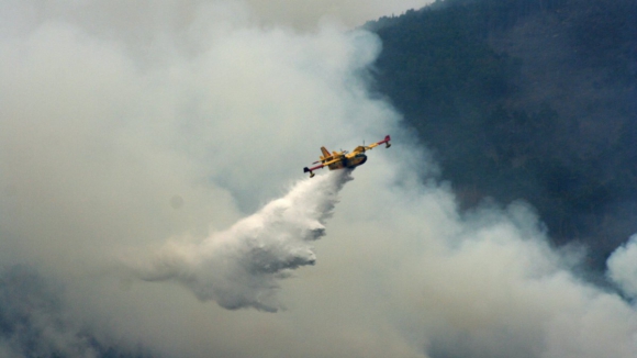 Várias corporações de bombeiros combatem incêndio em Paredes