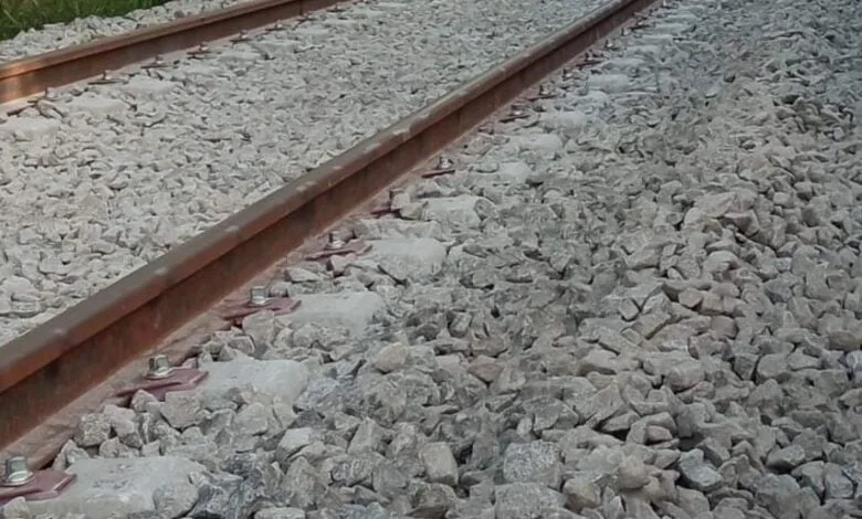 Mulher morre atropelada por comboio na estação de Suzão, em Valongo