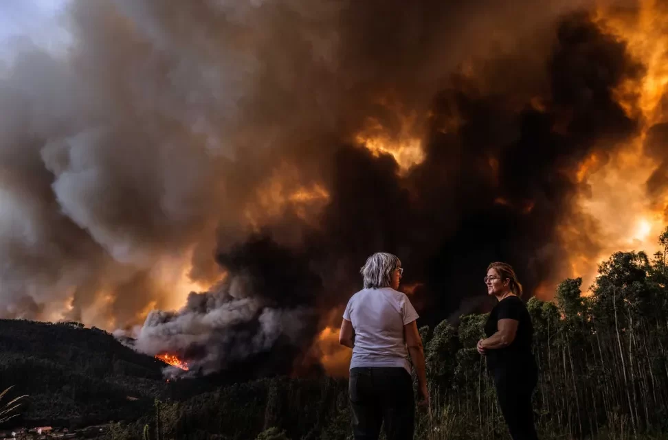Incêndios Entre Porto e Aveiro Consomem Dez Mil Hectares e Causam Três Mortes Incêndios Entre Porto e Aveiro Consomem Dez Mil Hectares e Causam Três Mortes