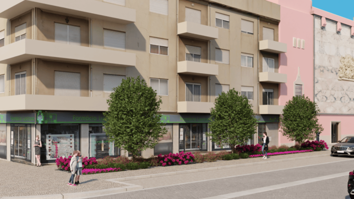 Câmara de Vila do Conde abate quatro pinheiros mansos junto ao Teatro Municipal