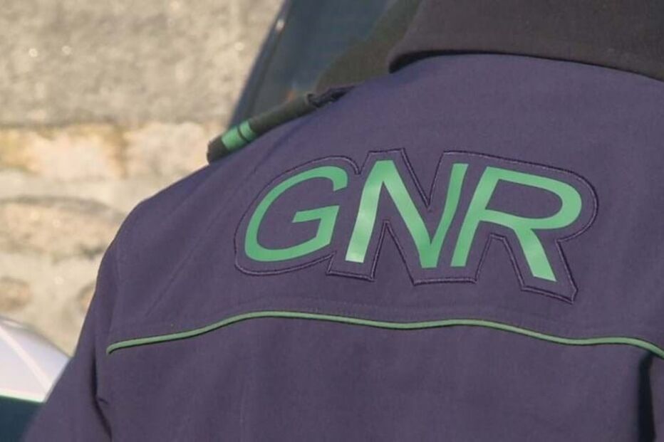 Trio assalta escolas e ginásios em Paredes — um homem detido Trio assalta escolas e ginásios em Paredes — um homem detido