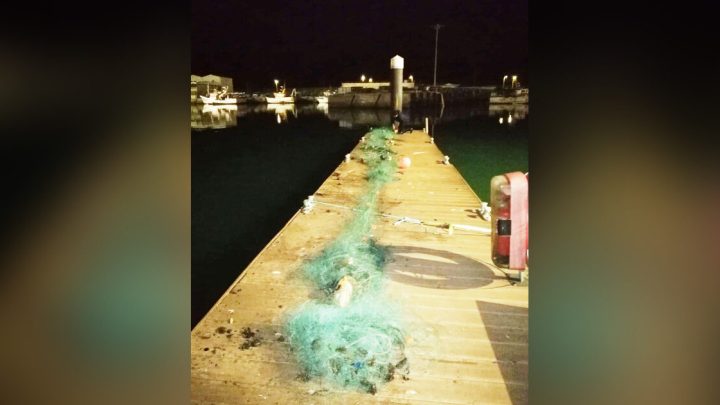Polícia Marítima apreende rede de pesca ilegal no porto da Póvoa de Varzim