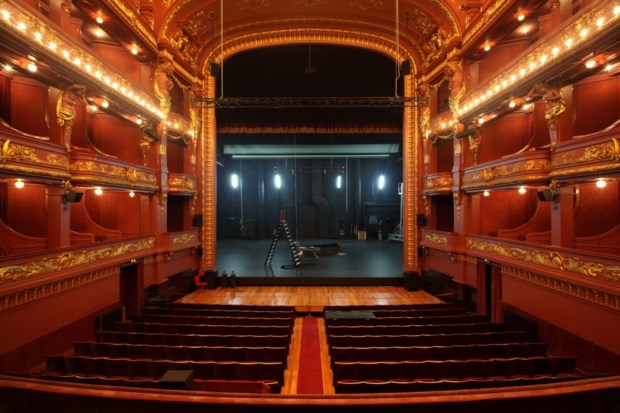 Teatro Nacional São João abre candidaturas para direção artística