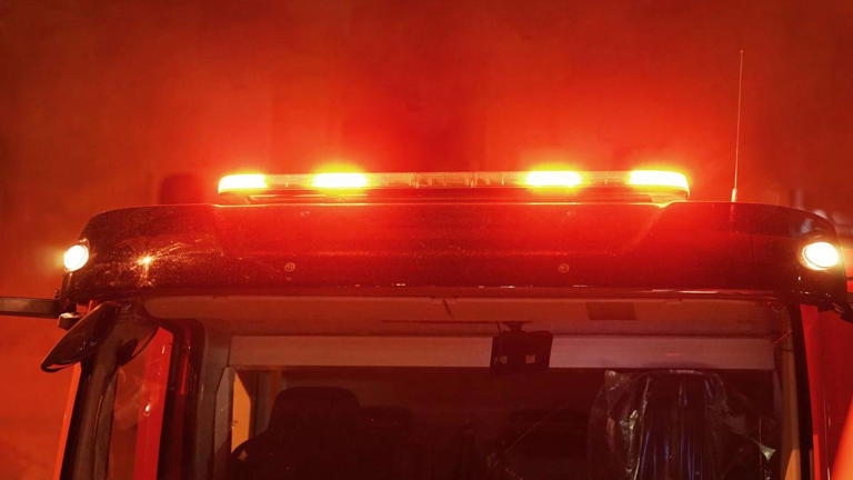 Corpo de homem encontrado num terreno em Santa Maria da Feira Corpo de homem encontrado num terreno em Santa Maria da Feira