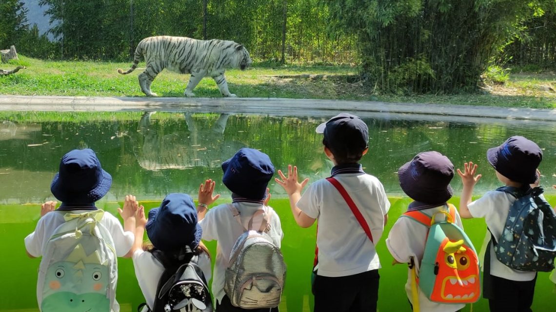 Zoo da Maia promove colónias de férias da Páscoa para crianças dos 6 aos 14 anos Zoo da Maia promove colónias de férias da Páscoa para crianças dos 6 aos 14 anos