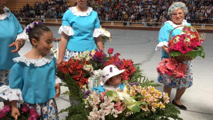 Valongo: Freguesia de Alfena prepara-se para celebrar a Festa da Flor no dia 25 de maio