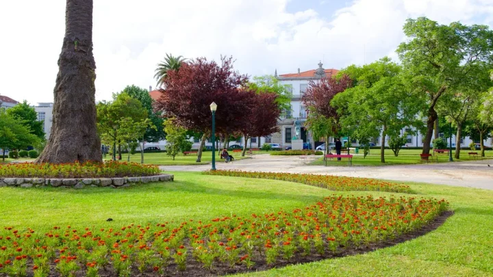 Câmara de Vila do Conde investe um milhão de euros na requalificação da Praça da República