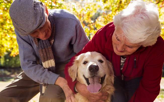 Gondomar promove envelhecimento ativo com adoção e voluntariado animal Gondomar promove envelhecimento ativo com adoção e voluntariado animal