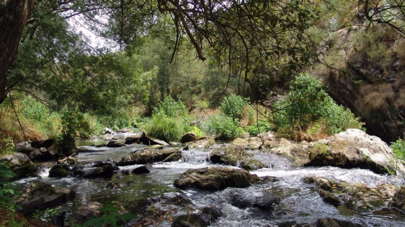Parque das Serras do Porto Vai Reabilitar Rios Ferreira e Sousa Durante Meio Ano Parque das Serras do Porto Vai Reabilitar Rios Ferreira e Sousa Durante Meio Ano