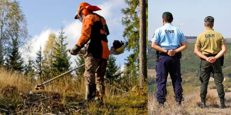 GNR intensifica fiscalização a terrenos não limpos e avisa para multas até 5 mil euros GNR intensifica fiscalização a terrenos não limpos e avisa para multas até 5 mil euros