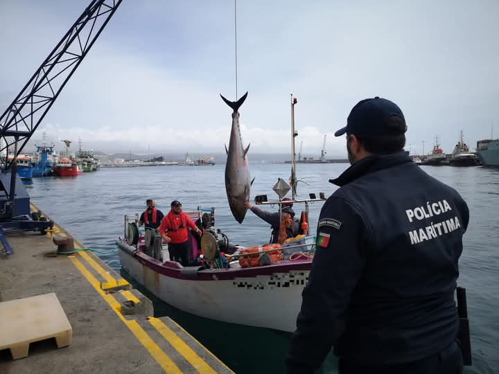 Fiscalização surpresa à pesca da sardinha em Leixões revela falhas documentais Fiscalização surpresa à pesca da sardinha em Leixões revela falhas documentais
