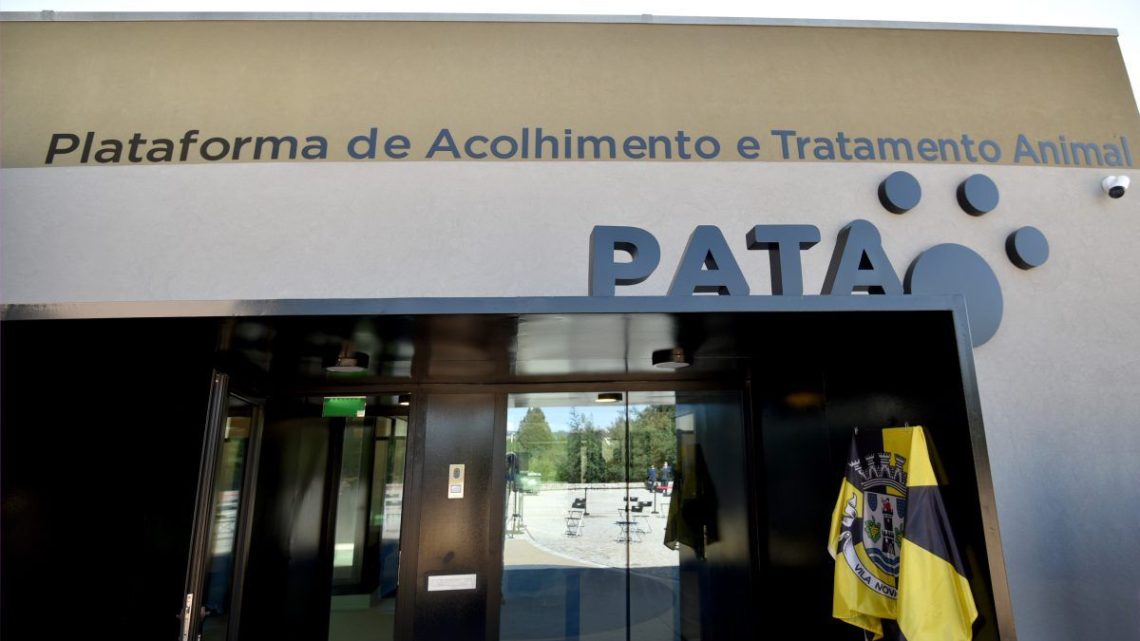 PATA organiza campanha de adoção responsável em Vila Nova de Gaia PATA organiza campanha de adoção responsável em Vila Nova de Gaia