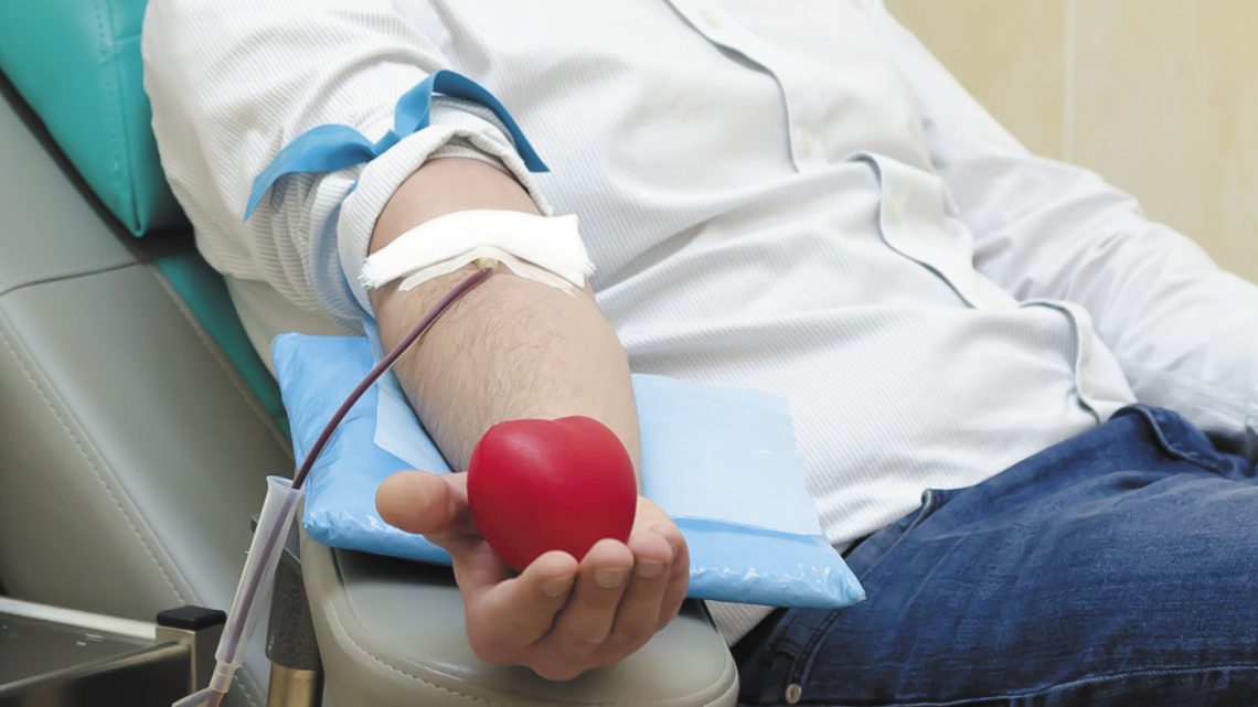 Santa Maria da Feira recebe encontro nacional de dadores de sangue com mais de 780 participantes Santa Maria da Feira recebe encontro nacional de dadores de sangue com mais de 780 participantes