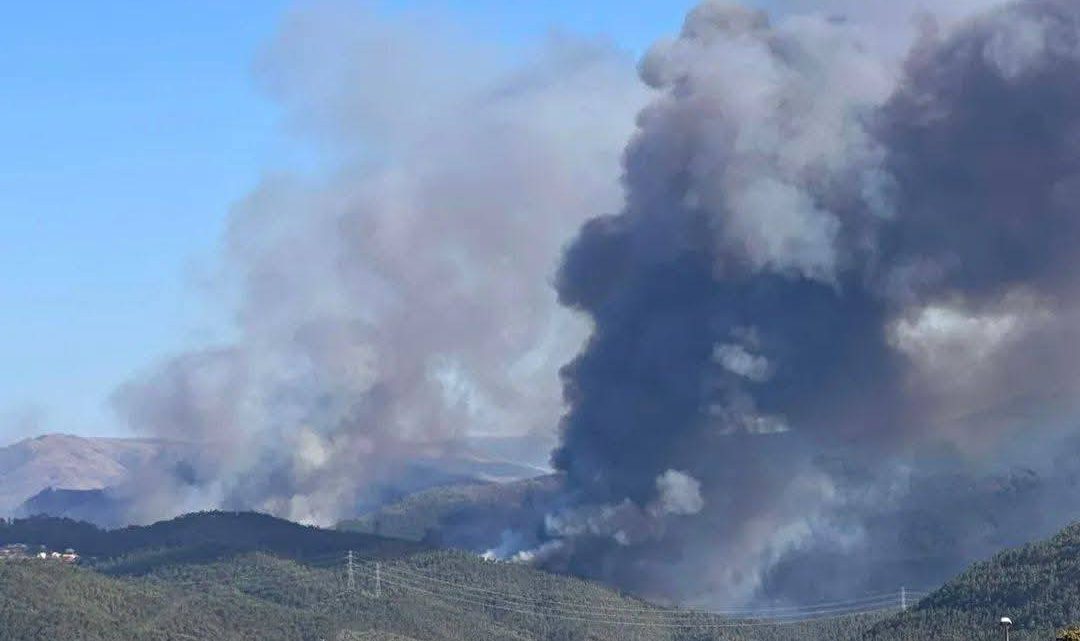 Mais de 500 operacionais combatem incêndio em Arouca