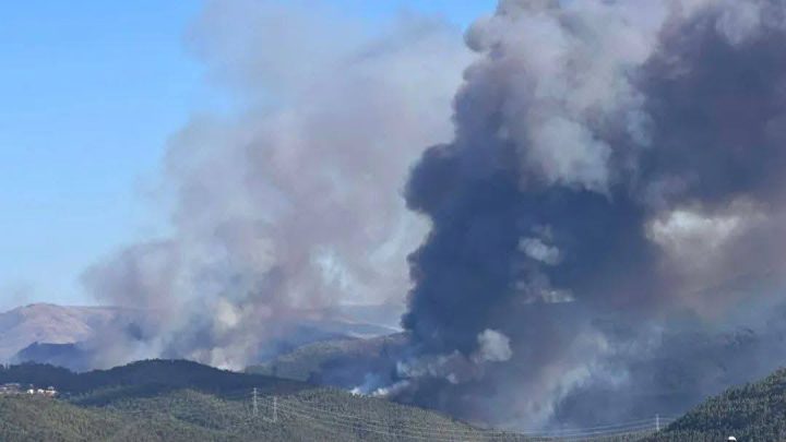 Mais de 500 operacionais combatem incêndio em Arouca
