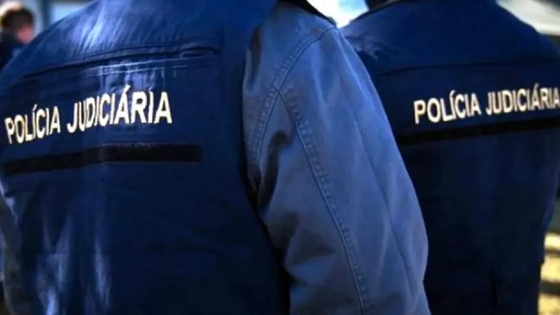 PJ deteve homem  por atear dois incêndios florestais em Folgosa da Maia