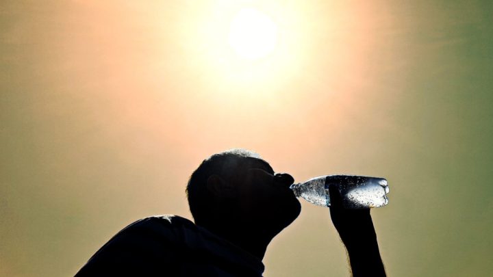 Portugal com temperaturas acima dos 40 graus a partir de quinta-feira, alerta IPMA
