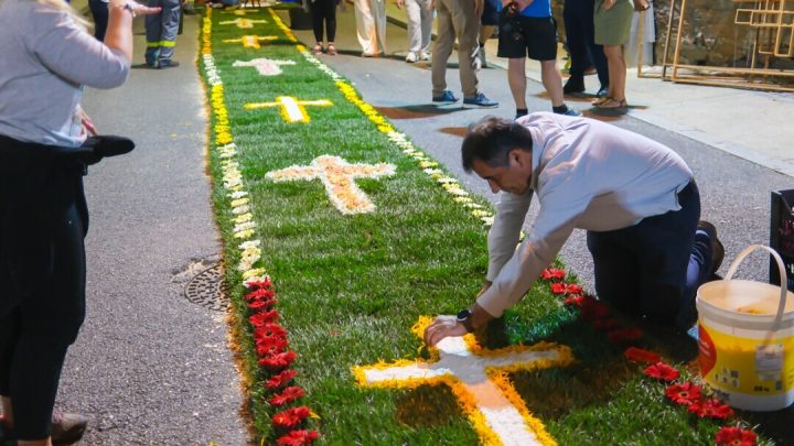Matosinhos celebra este fim de semana as Festas em honra de São Mamede de Perafita com tapetes de flores, procissão e concerto popular