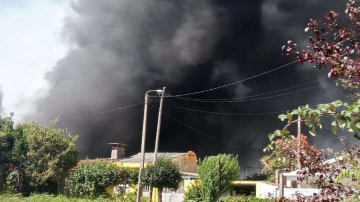 Incêndio na Bajouca mobiliza várias corporações de bombeiros e meios terrestres e aéreos