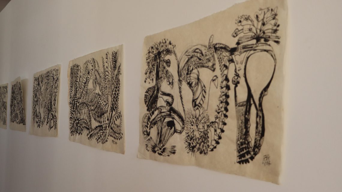 Casa da Cultura de Paredes recebe “História Natural” de Rik Lina