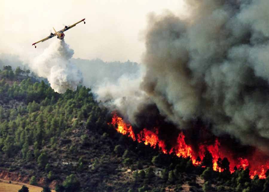 Governo afirma não ser necessário acionar o mecanismo europeu de proteção civil no combate aos incêndios Governo afirma não ser necessário acionar o mecanismo europeu de proteção civil no combate aos incêndios