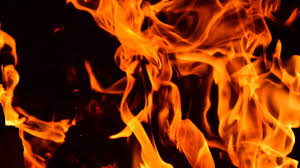 PSP identifica menor de 15 anos suspeito de incêndio florestal em Ermesinde