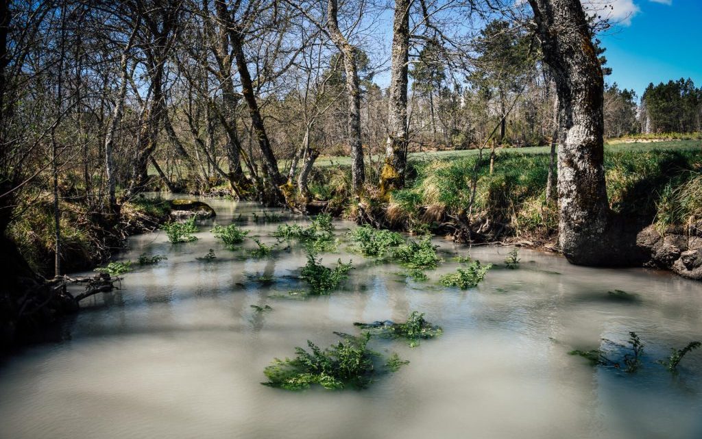 Descarga poluente no rio Paiva motiva denúncia à APA e pedido de acompanhamento à União Europeia Descarga poluente no rio Paiva motiva denúncia à APA e pedido de acompanhamento à União Europeia