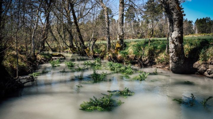 Descarga poluente no rio Paiva motiva denúncia à APA e pedido de acompanhamento à União Europeia