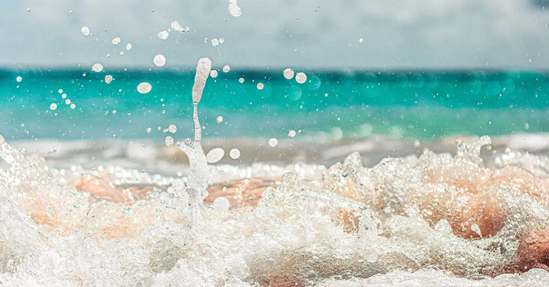 Praia de Matosinhos volta a estar própria para banhos após novo teste à qualidade da água Praia de Matosinhos volta a estar própria para banhos após novo teste à qualidade da água