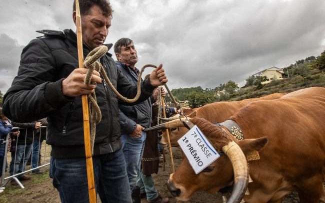 Arouca celebra Feira das Colheitas de 25 a 28 de setembro