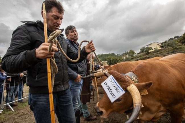 Arouca celebra Feira das Colheitas de 25 a 28 de setembro