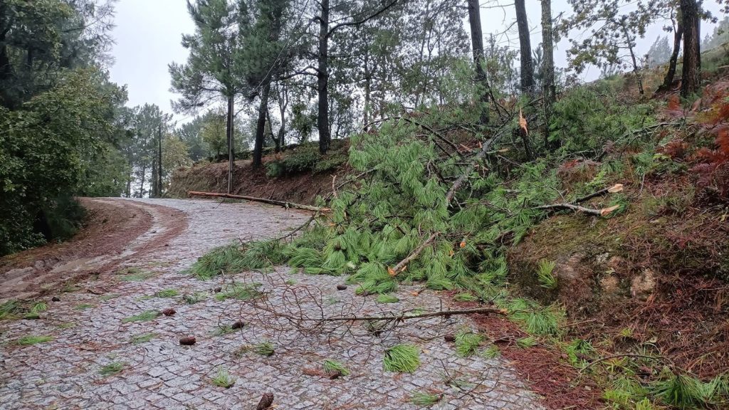 Depressão Gabrielle provoca 140 ocorrências até às 8h00, maioritariamente na AM Porto Depressão Gabrielle provoca 140 ocorrências até às 8h00, maioritariamente na AM Porto