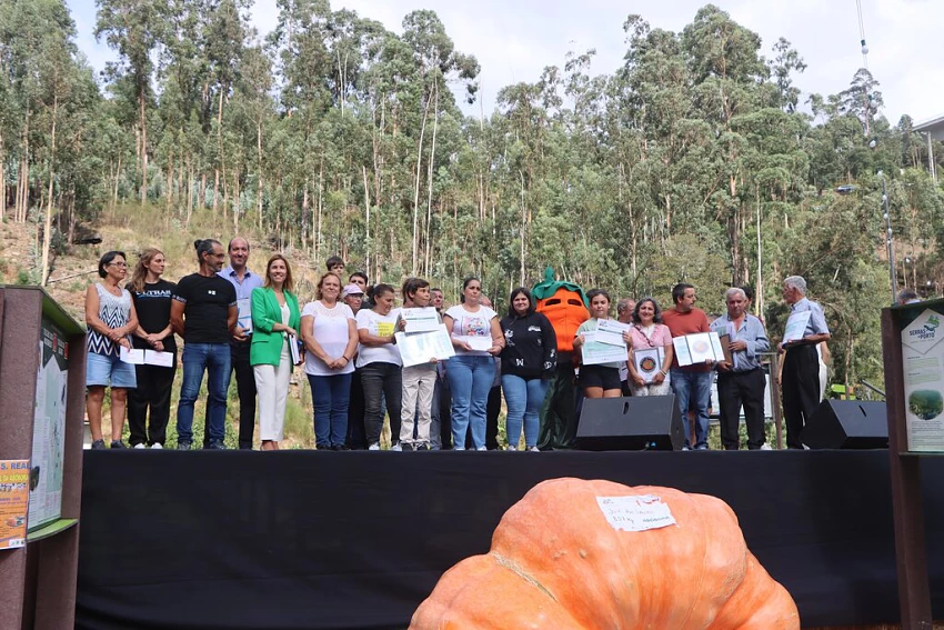 Abóbora de 857 quilos vence concurso de hortícolas gigantes em Paredes Abóbora de 857 quilos vence concurso de hortícolas gigantes em Paredes
