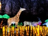 Zoo Santo Inácio em Gaia ilumina-se com dinossauros e animais gigantes nas “Luzes Selvagens”