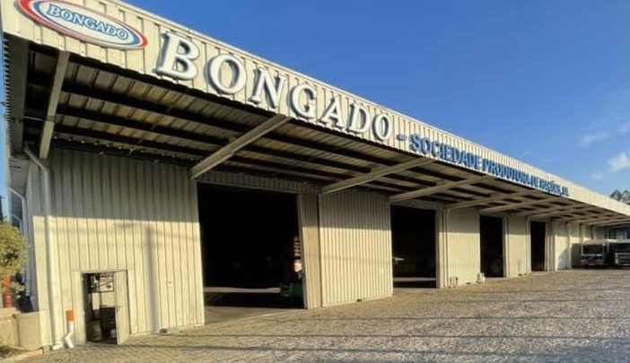 Jovem de 25 anos morre em acidente de trabalho em Sobrosa, Paredes