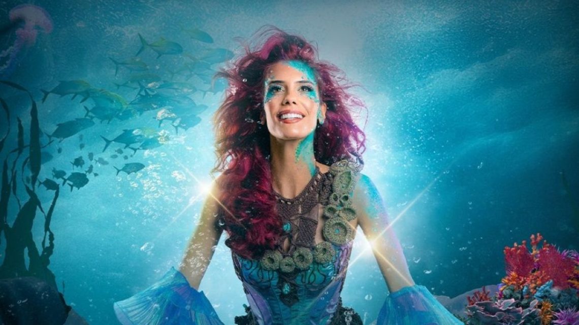 “A Pequena Sereia no Gelo” traz magia e consciência ambiental ao Natal do MAR Shopping em Matosinhos “A Pequena Sereia no Gelo” traz magia e consciência ambiental ao Natal do MAR Shopping em Matosinhos