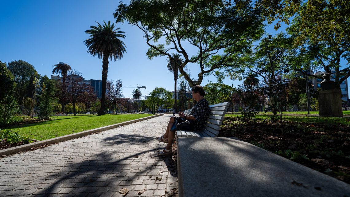 Reaberta a renovada Praça da República no Porto: mais verde, acessível e com memória histórica restaurada Reaberta a renovada Praça da República no Porto: mais verde, acessível e com memória histórica restaurada