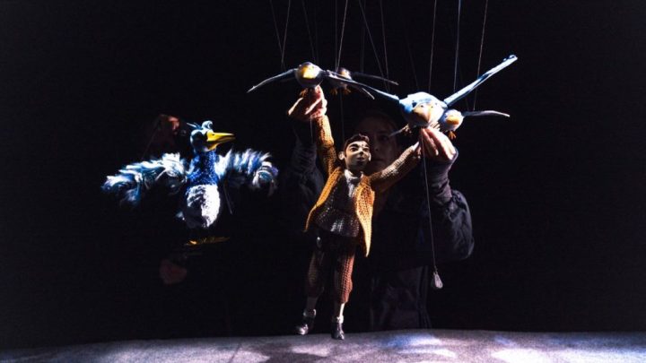 Festival Internacional de Marionetas do Porto regressa esta sexta-feira com 22 espetáculos e estreias de 12 países