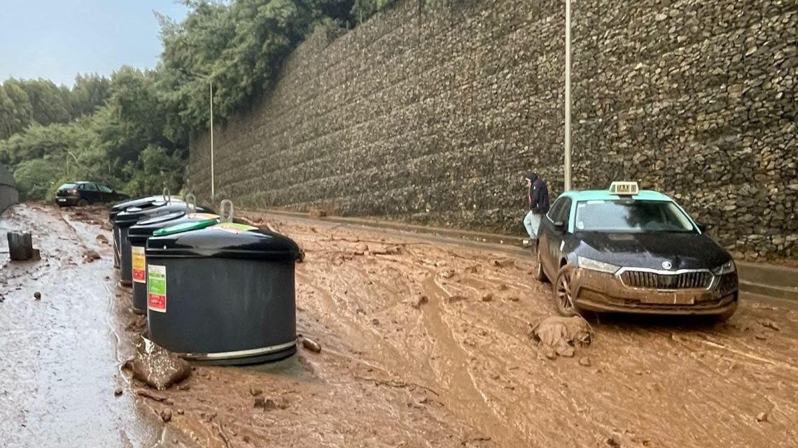 Presidente da Câmara de Gaia anuncia exigência de indemnizações à Metro do Porto pelos prejuízos das obras