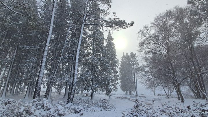 Pico do frio marca esta sexta-feira; Passagem de Ano com baixas temperaturas mas sem chuva