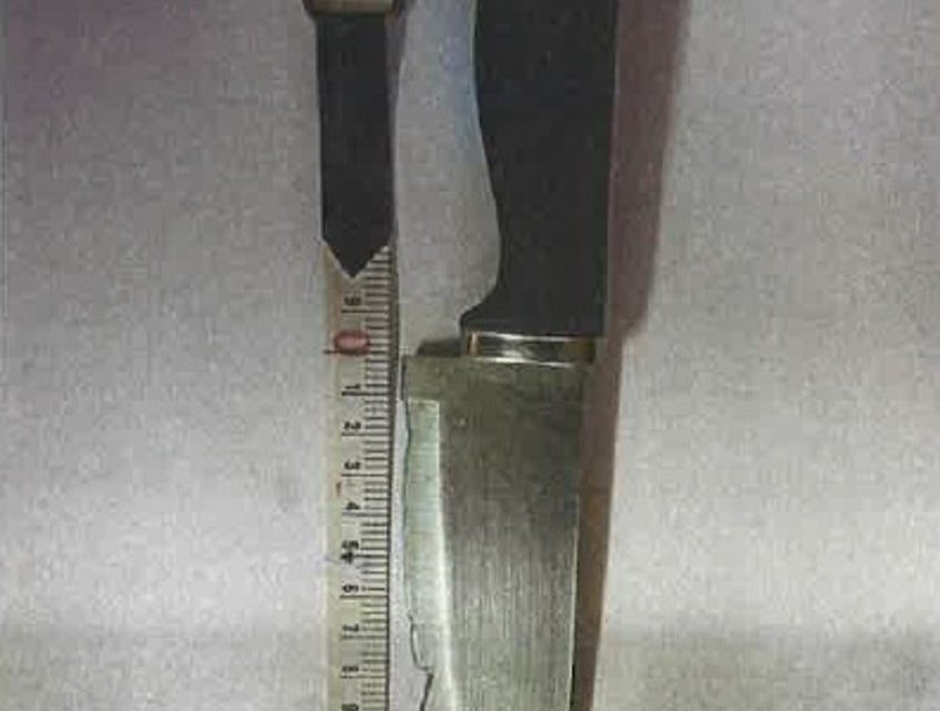 Homem detido em Santo Tirso por posse de arma proibida e apreensão de diversos materiais