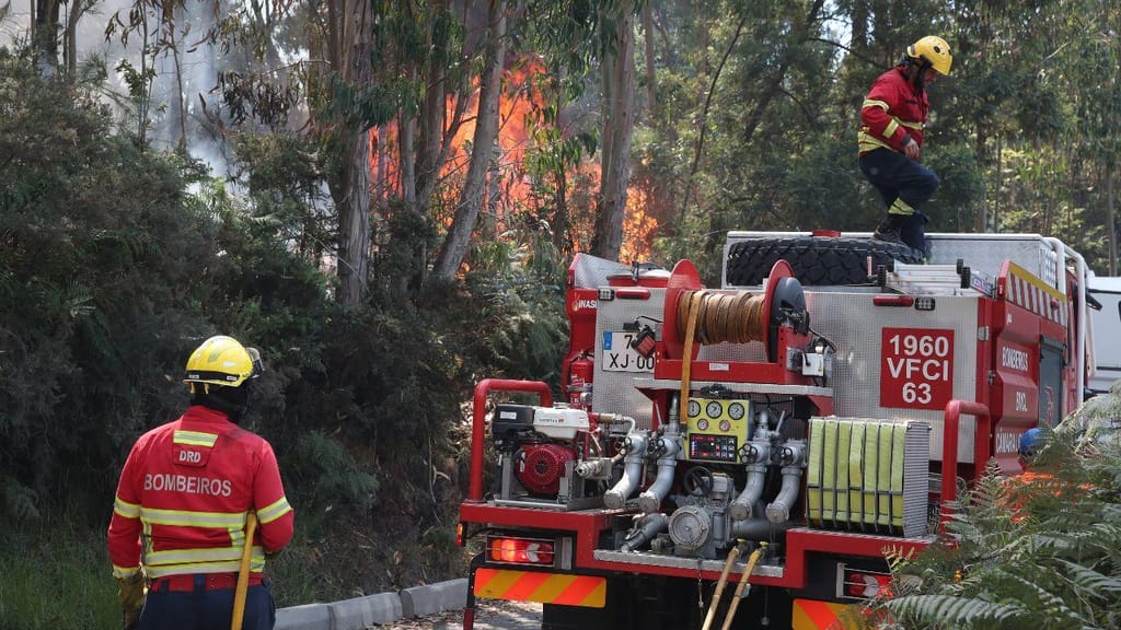 Câmara de Arouca homenageia 201 bombeiros pelo combate aos incêndios de julho