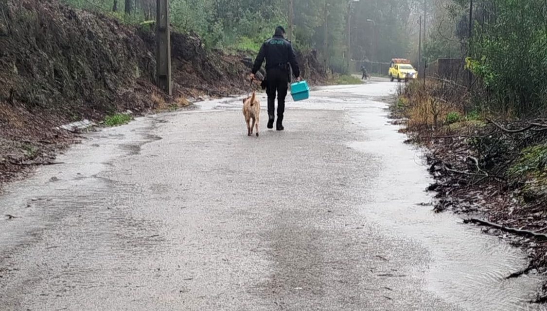 GNR evacua 25 cães em Gondomar devido à subida do caudal do rio Sousa